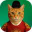 Catsle