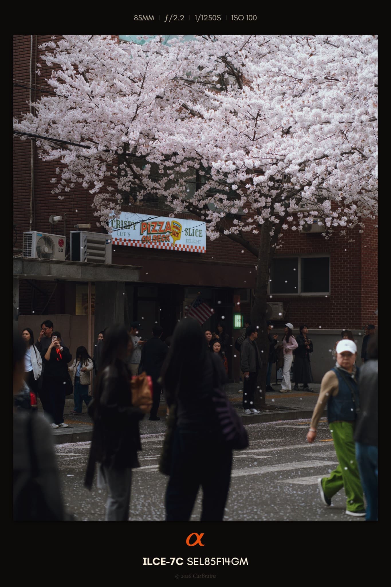Instant Mark applied to a photograph