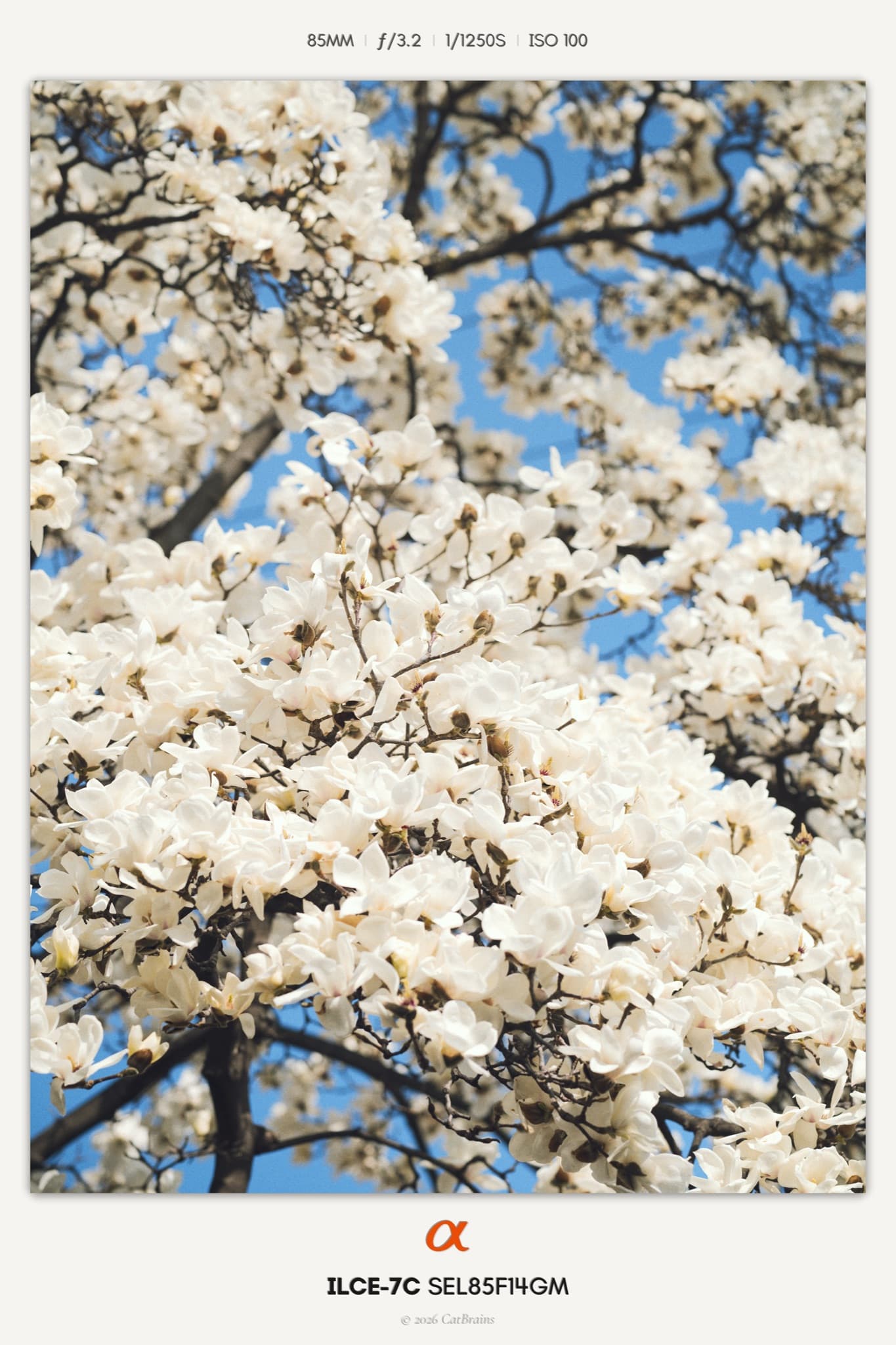 Instant Mark applied to a photograph